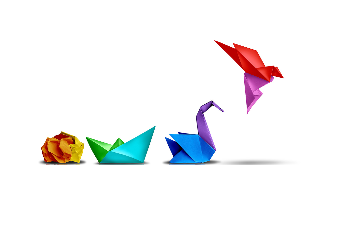 2023 – The Highlights 