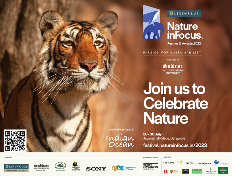 How we made the Nature inFocus Festival bigger!