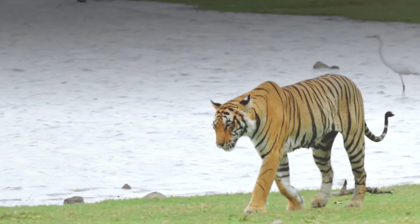 Nadhe Munde: Karnataka’s Growth Film Garnering 1M+ Views with Grammy Winner Ricky Kej